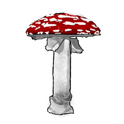 carousel chooser